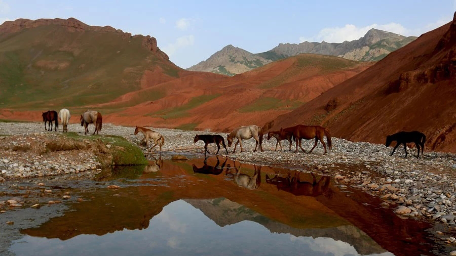 حالىق ءانى "ۋگاي"