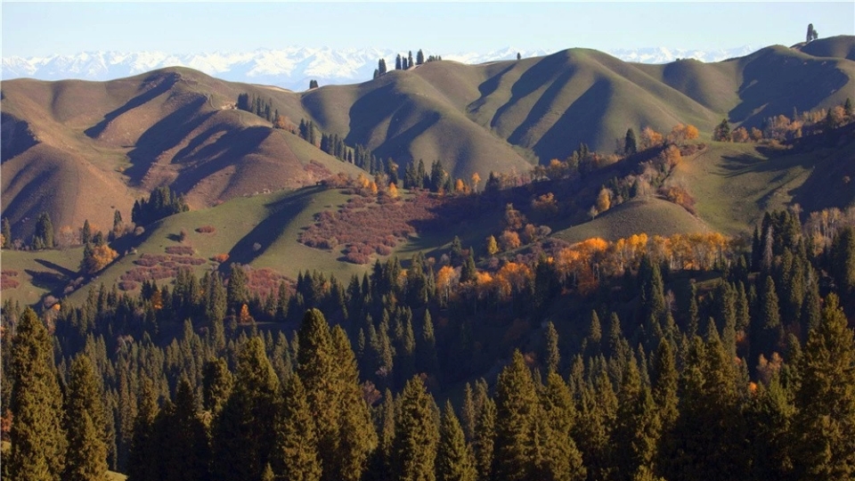 Halyq áni "Shynar-aı"