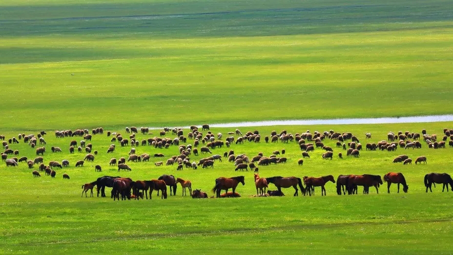 Halyq áni "Saǵan halqym-aı"