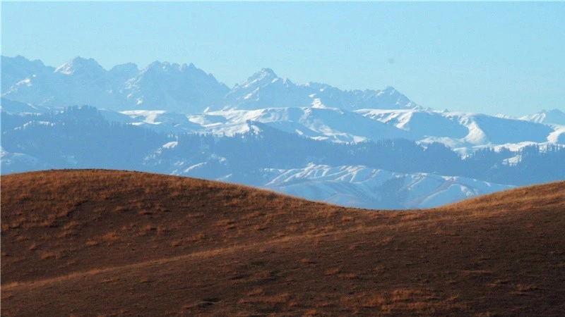 Halyq áni "Quralaı"