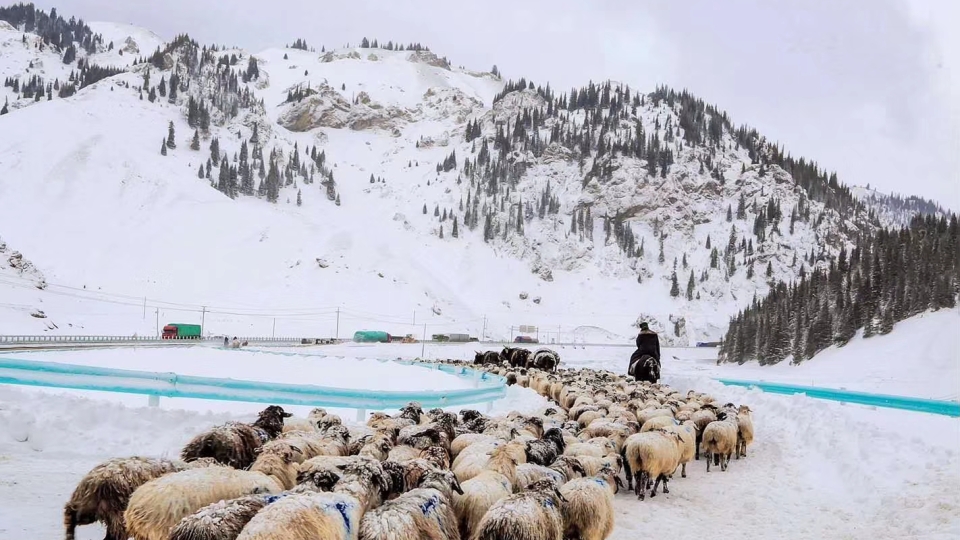 Halyq áni "Qaraı kózim"