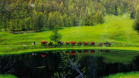 قازاقتىڭ قونىسى شەكارامەن شەكتەلمەگەن